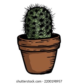 Small cactus in pot- vector hand drawn