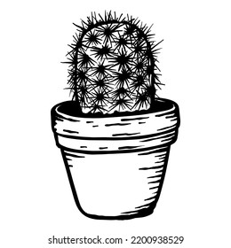Small cactus in pot- vector hand drawn - Out line