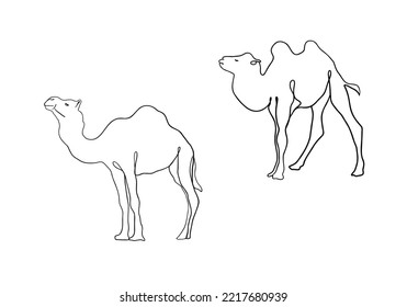 Small camels one line vector illustration. Isolated on white background. Camels linear vector