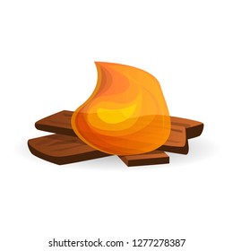 Small campfire icon. Cartoon of small campfire vector icon for web design isolated on white background