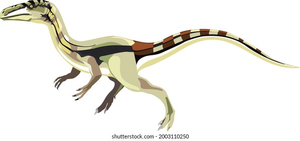 Small carnivorous dinosaur procompsognathus. vector illustration