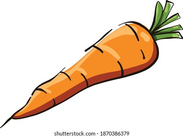 Small carrot, illustration, vector on white background.