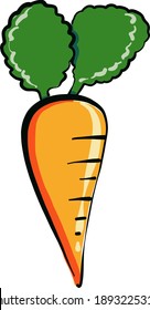Small carrot , illustration, vector on white background