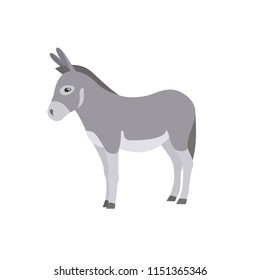 Small Cartoon Donkey. Isolated Vector Illustration.