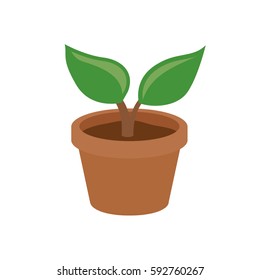 Small cartoon plant in pot
