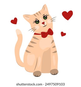 Un Pequeño gato con un lazo alrededor de su nuca. El fondo blanco