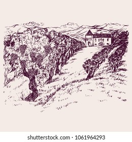 Small chateau with vineyard on mountain hills, hand drawn doodle, drawing suitable for wine label design, sketch in pop art style, black and white vector illustration