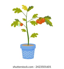  Tomate de cereza pequeño cultivado en el balcón en una olla, ilustración vectorial sobre fondo blanco