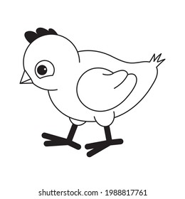 small chicken, black and white, vector illustration
