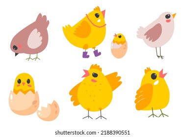 Small chicken, isolated farm animals. Domestic pets and birds. Little newborn chick sitting in eggshell, hen wearing boots and necklace. Symbol of easter holiday in spring. Vector in flat style