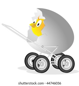 Small chicken in walking children`s carriage made of egg shell on white background