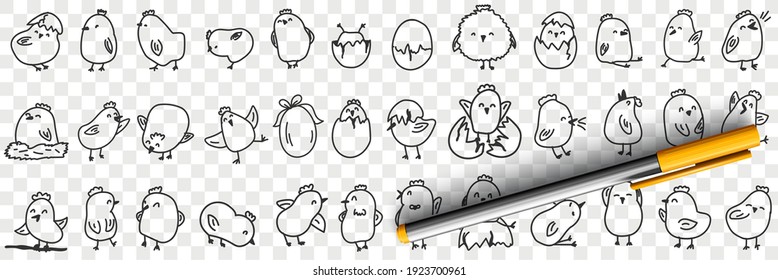 Small chicks on farm doodle set