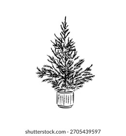 Un Pequeño árbol de Navidad en una olla de cerámica.