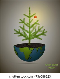 Small Christmas tree decorated with red bubble isolated,  vector
