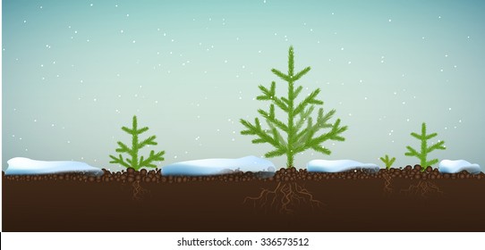 Small Christmas trees or young fir tree forest growing on soil in winter season, vector