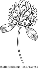 Small Clover Flower with Round Petals, Linear Icon