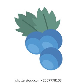 Small cluster of blue grapes with green leaves Vector