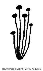 Small Cluster of Enoki Mushrooms Straight Monochrome