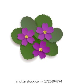 Un Pequeño Grupo De Violetas. Ilustración del vector en el corte de papel