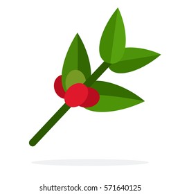 Small coffee branch with fruits vector flat material design isolated on white