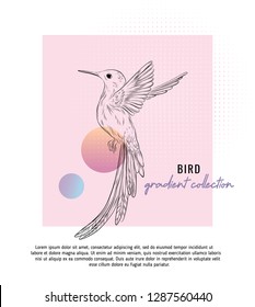 Small colibri vector illustration with typography.  Digital art with trendy geometric shapes and gradient mesh. Small brid duoone contemporary template