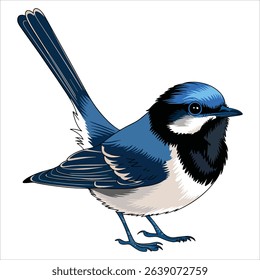 Small colorful bird with long thin tail, superb bird vector. Cute avian illustration for nature and wildlife themes.