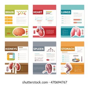 Small colorful internal human organs with description banners isolated on white background flat vector illustration 