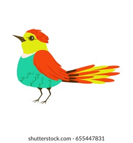 Small colorful tropical bird vector Illustration