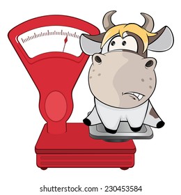 A small cow and weighing scale. Cartoon 