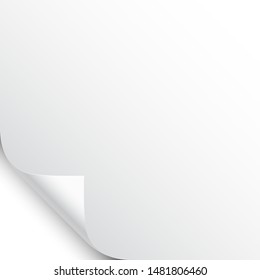 Small curled page corner with shadow on white background. Blank sheet of paper. Vector illustration.