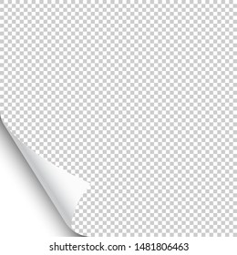 Small curled page corner with shadow on transparent background. Blank sheet of paper. Vector illustration.