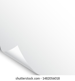 Small curled page corner with shadow on white background. Blank sheet of paper. Vector illustration.