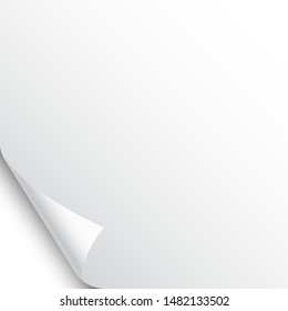 Small curled page corner with shadow on white background. Blank sheet of paper. Vector illustration.