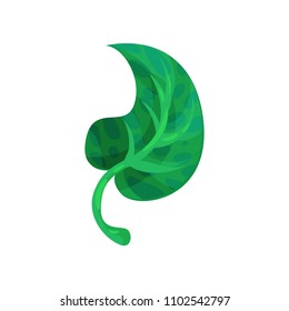 Small curved leaf with dark spots. Natural green element of tropical plant. Flat vector design for book or promo poster