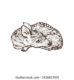 Small cute baby deer slipping, doodle black ink drawing, woodcut style