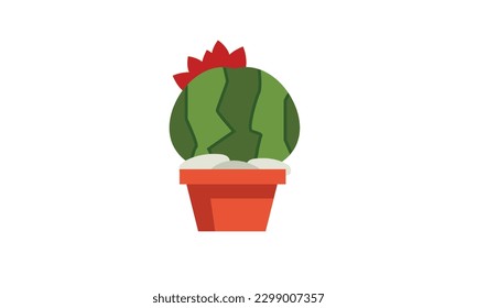 A small cute cactus that sits beautifully on top of a pot.