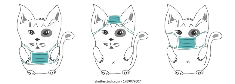 Small and cute cat in blue mask on the head, stomach, muzzle. White spotted kitten with big ears stands from the front.