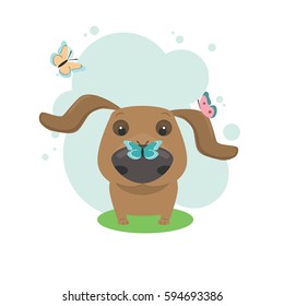 Small cute dachshund puppy with multicolored butterflies sitting on it nose, ear, and flying around, vector composition of dog face in a light blue frame on a white background. Vector illustration.