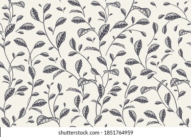 Pequeñas hojas adorables. Patrón sin foco con elementos vegetales. Resumen follaje negro sobre fondo blanco. Vintage. Gráficos hechos a mano. Plantilla para textiles de verano, papel, papel pintado, interior