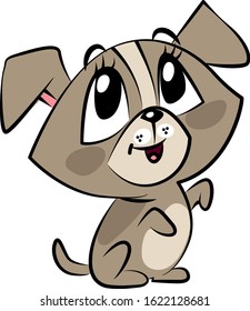 a small cute dog with big eyes looks up