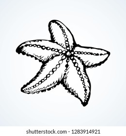 Small cute five armed Echinodermata Asteroidea on sand backdrop. Freehand outline black ink hand drawn seastar picture emblem sketchy in art retro scribble contour style pen on paper. Closeup top view