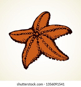 Small cute five armed Echinodermata Asteroidea on sand backdrop. Freehand outline black ink hand drawn seastar picture emblem sketchy in art retro scribble contour style pen on paper. Closeup top view