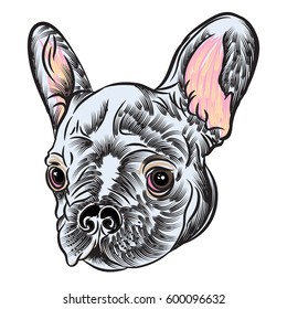 Small cute French Bulldog puppy tattoo style concept on white background. Friendly doggy portrait. Vector illustration.