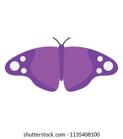 
Small cute insect drawn to offer erbid moth from butterfly family icon
