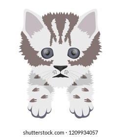
A small cute kitten with sad face
