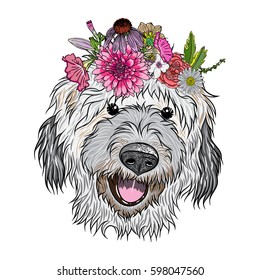 Small, cute Labradoodle puppy girl wearing exotic floral wreath. Friendly doggy portrait with flowers. Vector illustration.