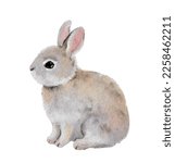 Small cute rabbit animal pet. Realistic Easter bunny. Vector watercolor hand drawn illustration - little adorable hare