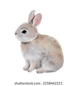 Small cute rabbit animal pet. Realistic Easter bunny. Vector watercolor hand drawn illustration - little adorable hare