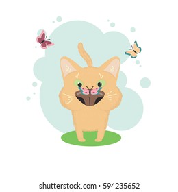 Small cute red kitten and butterflies different colors sitting its nose   flying around  single composition in light blue frame white background  Vector illustration 