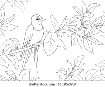 Small cute swallow perched on a thin branch with spring leaves, black and white vector cartoon illustration for a coloring book page